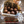 Ezra Zion BLENDING SESSIONS