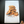 OATMEAL COOKIES