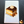 BOSTON CREAM PIE