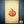 PUNKIN’ PIE & CREAM ‘25