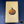 PUNKIN' PIE & CREAM ‘21